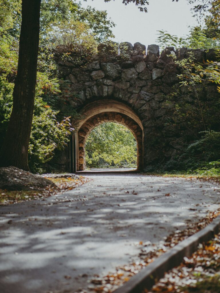 roxbury-neighborhood