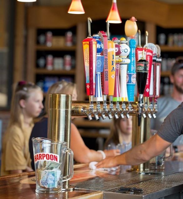 Harpoon Brewery Guided Beer Tasting