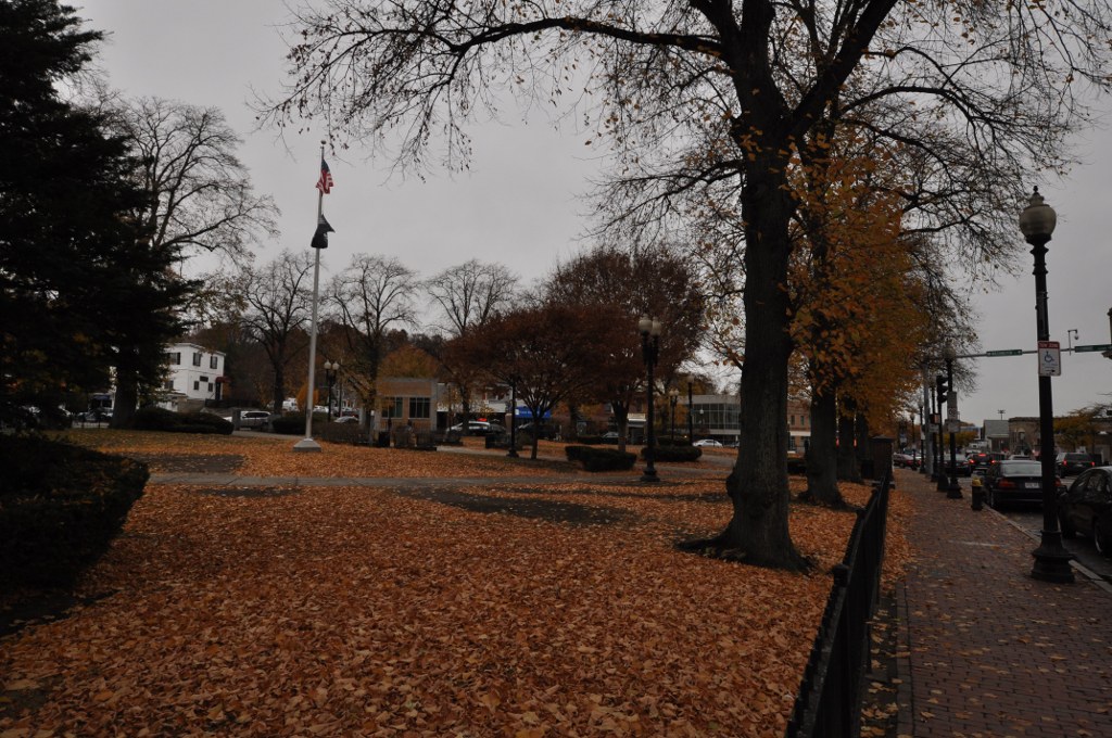 Adams Park, the tree-lined green with a flagpole at the center of Roslindale Village in Boston
