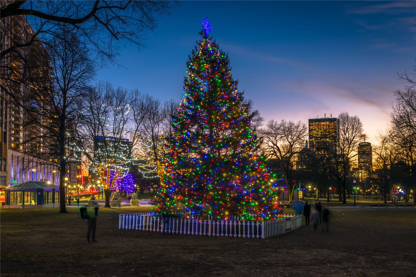 bostons-calendar-december-opt