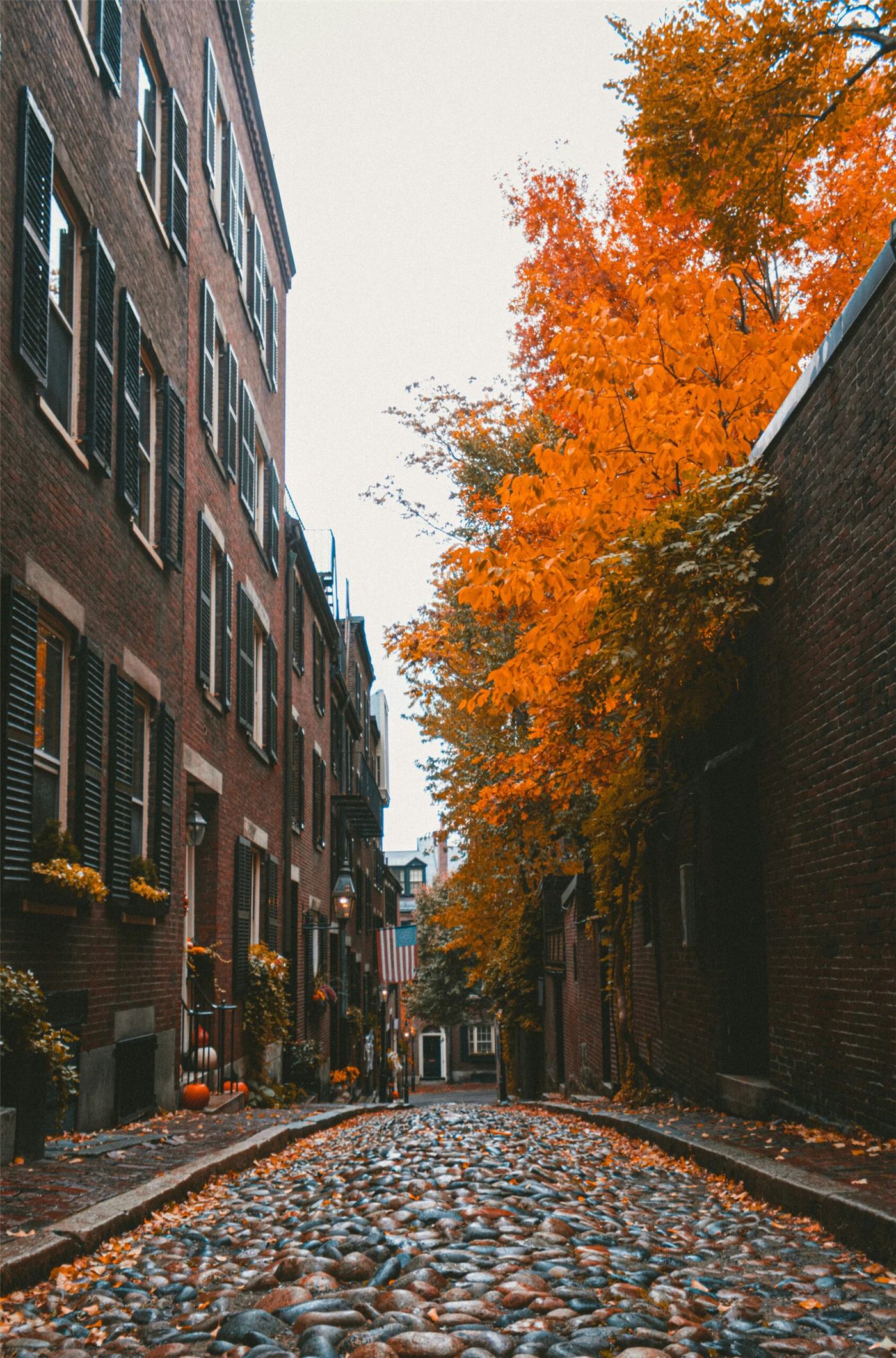 bostons-calendar-october-opt