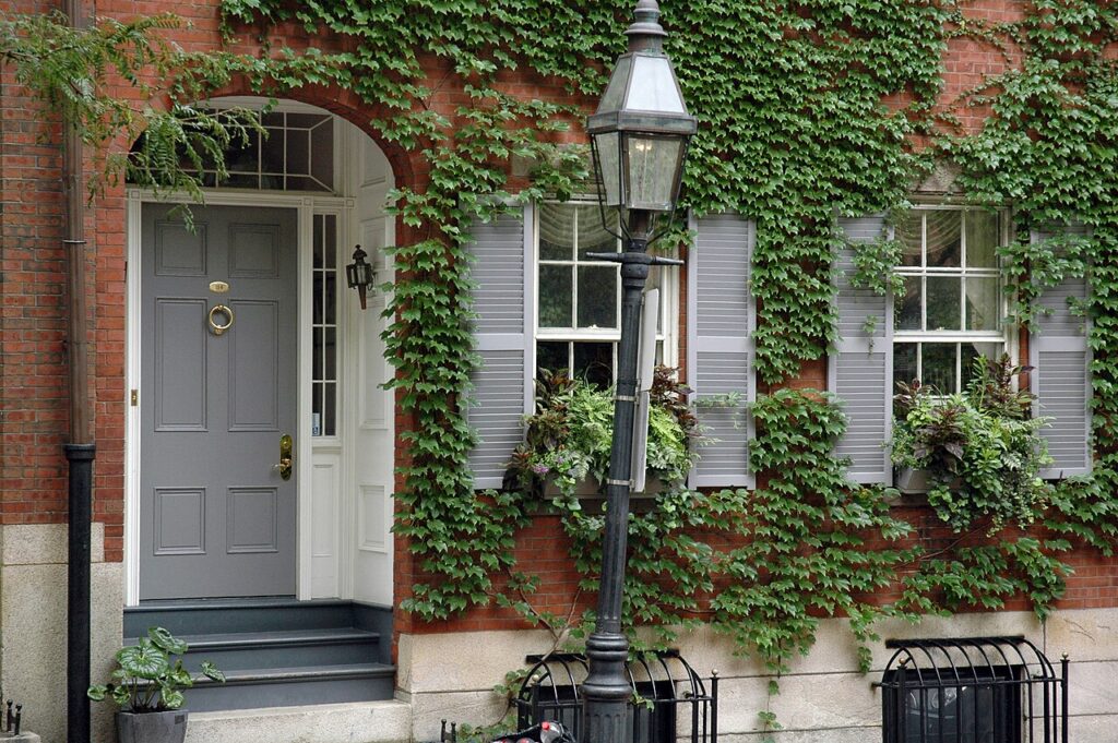 Ivy-covered brick rowhouse with gray shutters, window boxes, and a black gas lamp at 114 Mount Vernon Street in Beacon Hill, Boston
