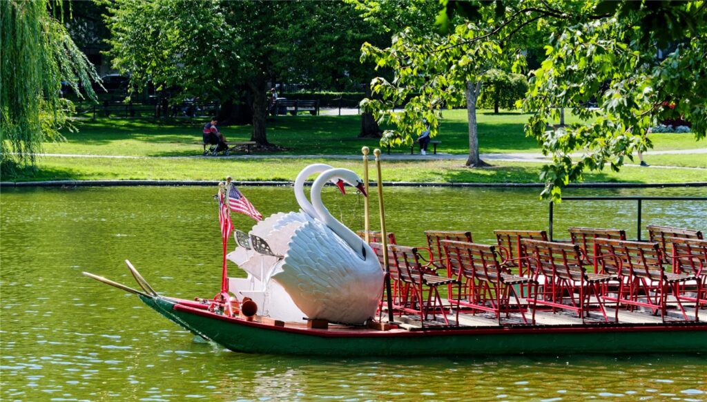 ride-the-swan-boats-opt