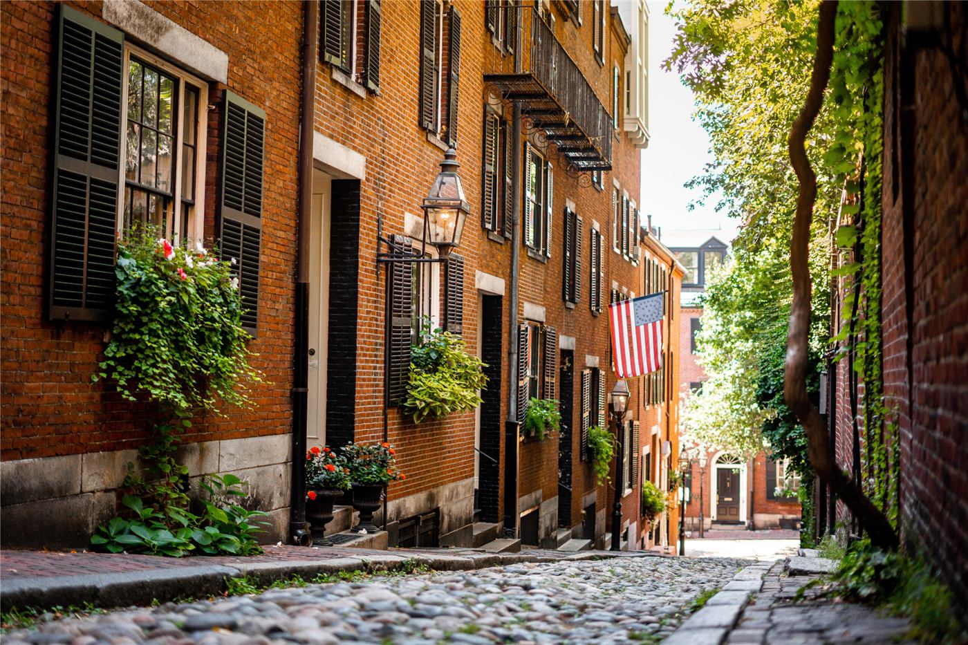wander-beacon-hill-opt